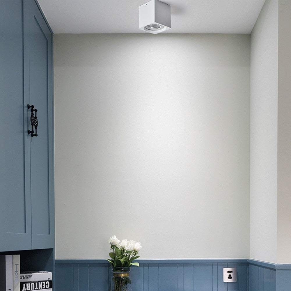 Led Downlight 110V 220V Surface Mounted Ceiling Downlight Spot Led COB 10W 20W Living Room Office Coffee Stores Spot Lighting