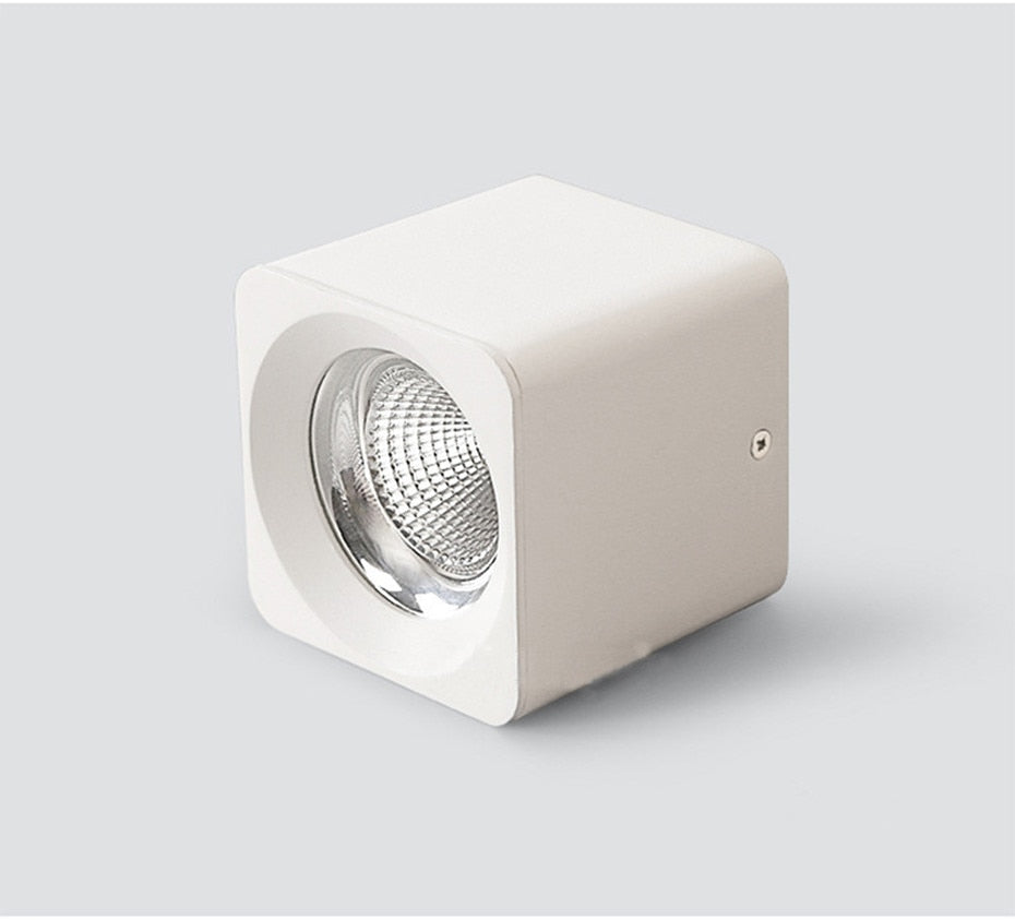 Led Downlight 110V 220V Surface Mounted Ceiling Downlight Spot Led COB 10W 20W Living Room Office Coffee Stores Spot Lighting