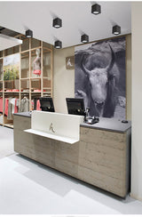 Led Downlight 110V 220V Surface Mounted Ceiling Downlight Spot Led COB 10W 20W Living Room Office Coffee Stores Spot Lighting