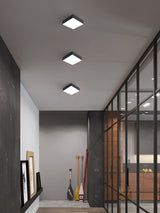 Aisle lights, corridor lights, ultra-thin no main lights, surface mounted downlights, concealed entrance lights, entrance lights