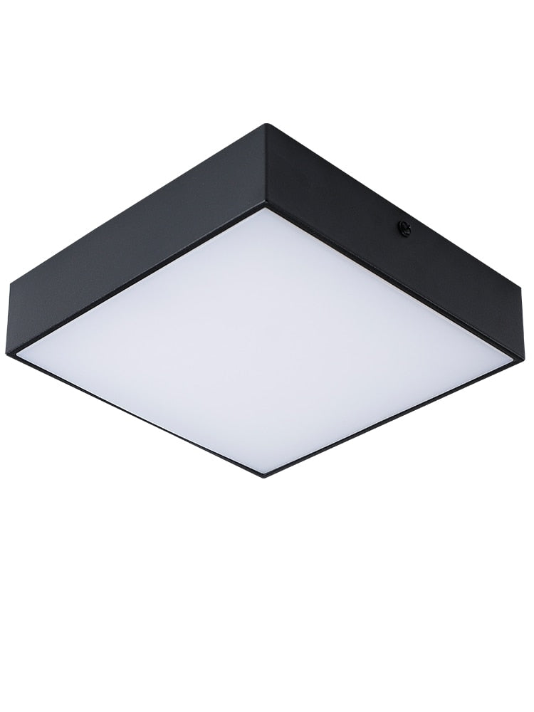 Aisle lights, corridor lights, ultra-thin no main lights, surface mounted downlights, concealed entrance lights, entrance lights