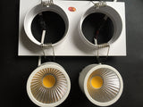 Led downlight double white square Dimmable light COB Ceiling Spot Light 2x10W ceiling recessed Lights Indoor Lighting