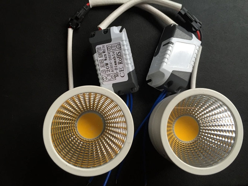 Led downlight double white square Dimmable light COB Ceiling Spot Light 2x10W ceiling recessed Lights Indoor Lighting