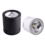 Surface Mounted Downlight 12W 15W 24W 36W 50W Dimmable cob downlight AC110/220V led ceiling light spot light with Driver