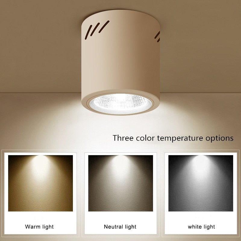 Surface Mounted Downlight 12W 15W 24W 36W 50W Dimmable cob downlight AC110/220V led ceiling light spot light with Driver