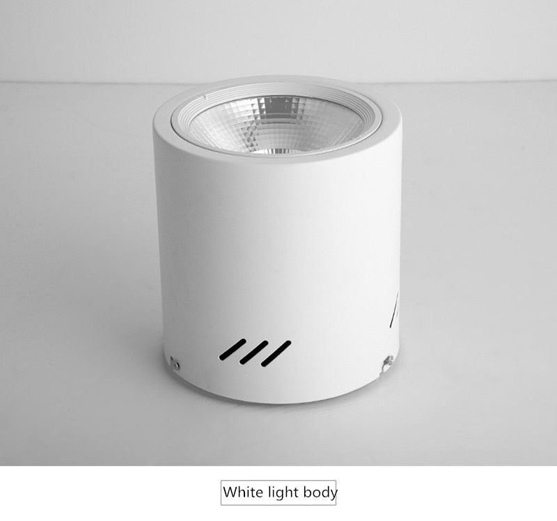 Surface Mounted Downlight 12W 15W 24W 36W 50W Dimmable cob downlight AC110/220V led ceiling light spot light with Driver