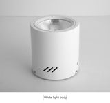 Surface Mounted Downlight 12W 15W 24W 36W 50W Dimmable cob downlight AC110/220V led ceiling light spot light with Driver