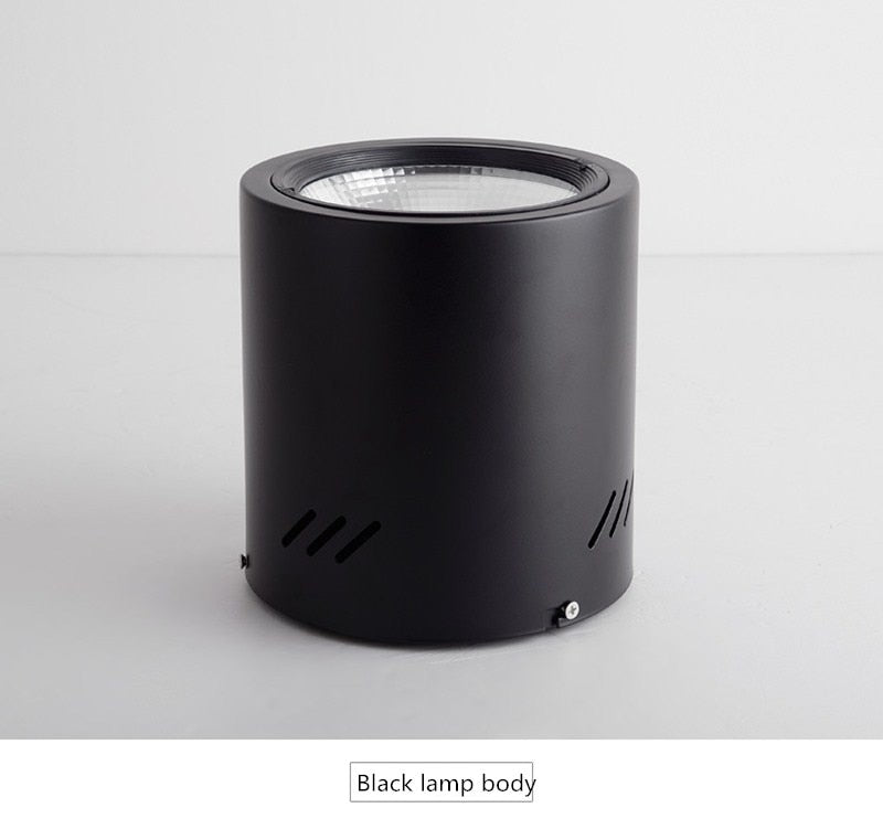 Surface Mounted Downlight 12W 15W 24W 36W 50W Dimmable cob downlight AC110/220V led ceiling light spot light with Driver