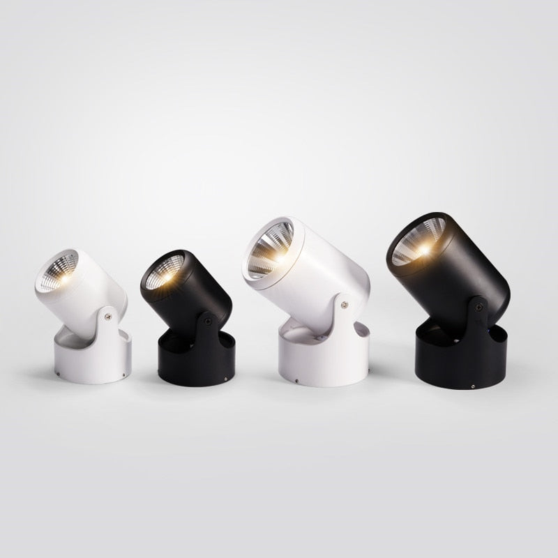 Dimmable LED Downlight 220V Adjustable Spotlight 12W 14W 18W 24W 110V Ceiling Lamp COB Warm white Natural white Indoor Lighting