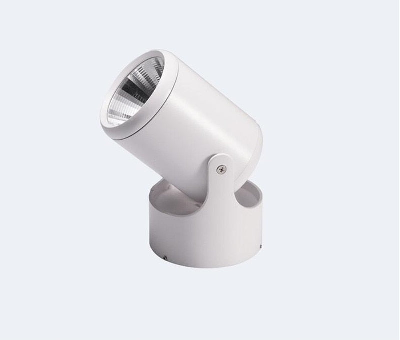 Dimmable LED Downlight 220V Adjustable Spotlight 12W 14W 18W 24W 110V Ceiling Lamp COB Warm white Natural white Indoor Lighting