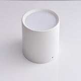 Surface Mounted Ceiling Downlight 5W 10W 15W 20W 85-265V lamp Led downlights Ceiling Spot light +led driver AC85-265V