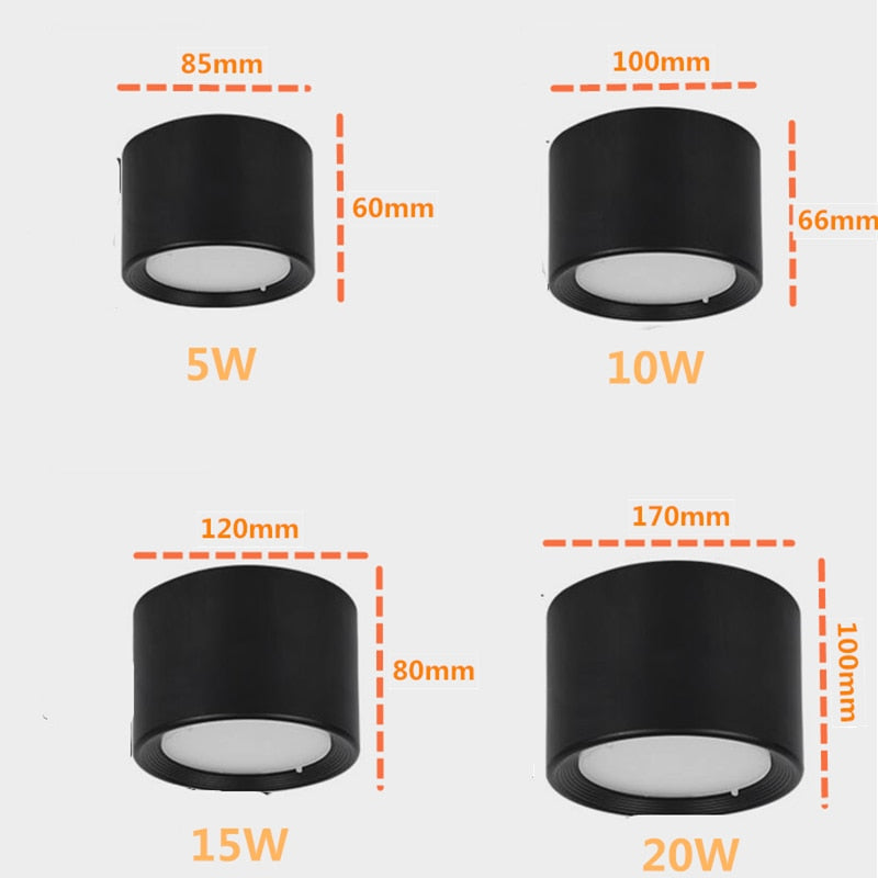 Surface Mounted Ceiling Downlight 5W 10W 15W 20W 85-265V lamp Led downlights Ceiling Spot light +led driver AC85-265V