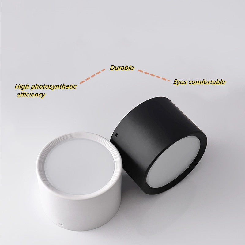 Surface Mounted Ceiling Downlight 5W 10W 15W 20W 85-265V lamp Led downlights Ceiling Spot light +led driver AC85-265V