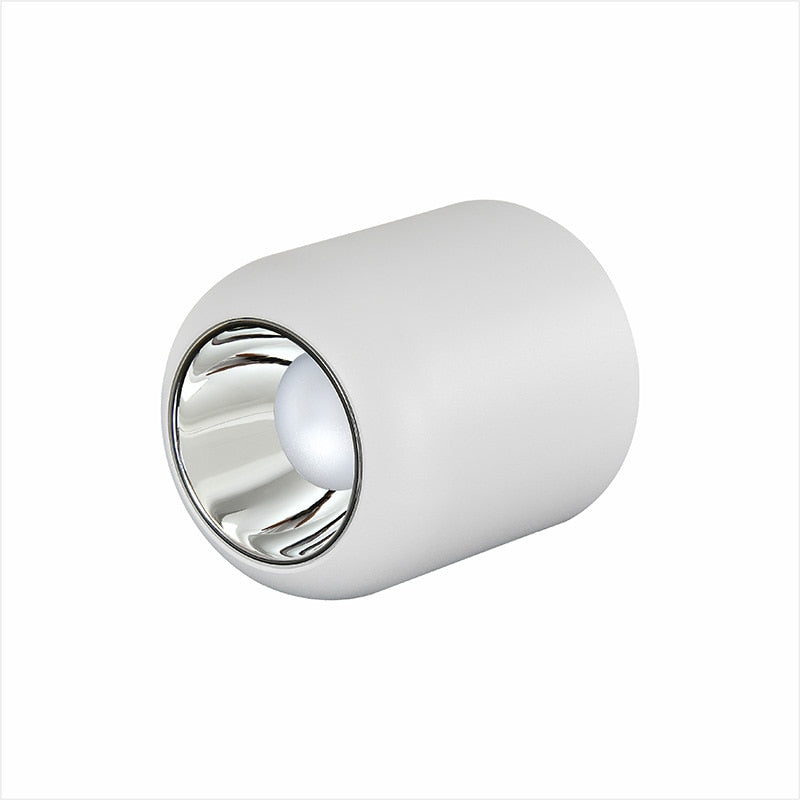 Saiyo Led Downlight Surface Mounted Lamp 110V 220V Ceiling lamp 8W Aluminum Down Light Bedroom Kitchen Indoor Lighting