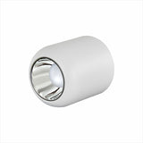 Saiyo Led Downlight Surface Mounted Lamp 110V 220V Ceiling lamp 8W Aluminum Down Light Bedroom Kitchen Indoor Lighting