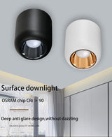 Saiyo Led Downlight Surface Mounted Lamp 110V 220V Ceiling lamp 8W Aluminum Down Light Bedroom Kitchen Indoor Lighting