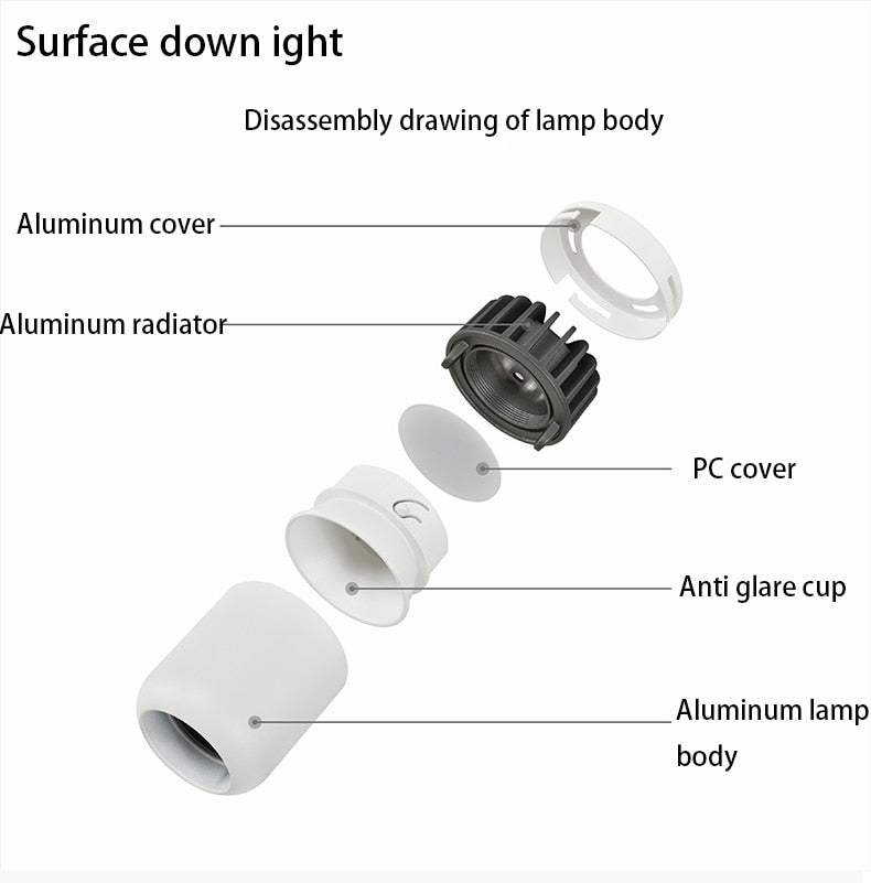 Saiyo Led Downlight Surface Mounted Lamp 110V 220V Ceiling lamp 8W Aluminum Down Light Bedroom Kitchen Indoor Lighting