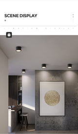 Led Surface Mounted Ceiling Downlight Aluminum 5W 9W 12W Spot Light for Foyer Living Room AC 90-260V Indoor Lighting