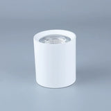 Round Dimmable COB LED Downlights 7W 9W 12W LED Ceiling Spot lights AC85~265V LED Ceiling Lamps Warm/Cold White Indoor Lighting