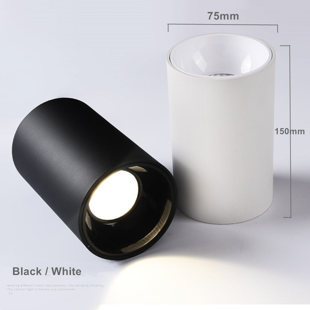 DBF Round Black/White Housing LED COB Surface Mounted Downlight 15W 20W High Reflection 3000K/4000K/6000K Ceiling Spot Lights