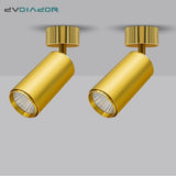 Golden Luxury Led Downlight Surface Mounted Led Spot Light COB Ceiling Light 360 Degree Rotate 7W 12W 15W Living Room Exhibition