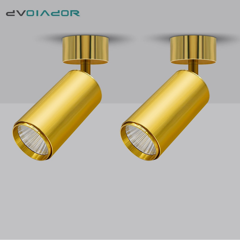 Golden Luxury Led Downlight Surface Mounted Led Spot Light COB Ceiling Light 360 Degree Rotate 7W 12W 15W Living Room Exhibition