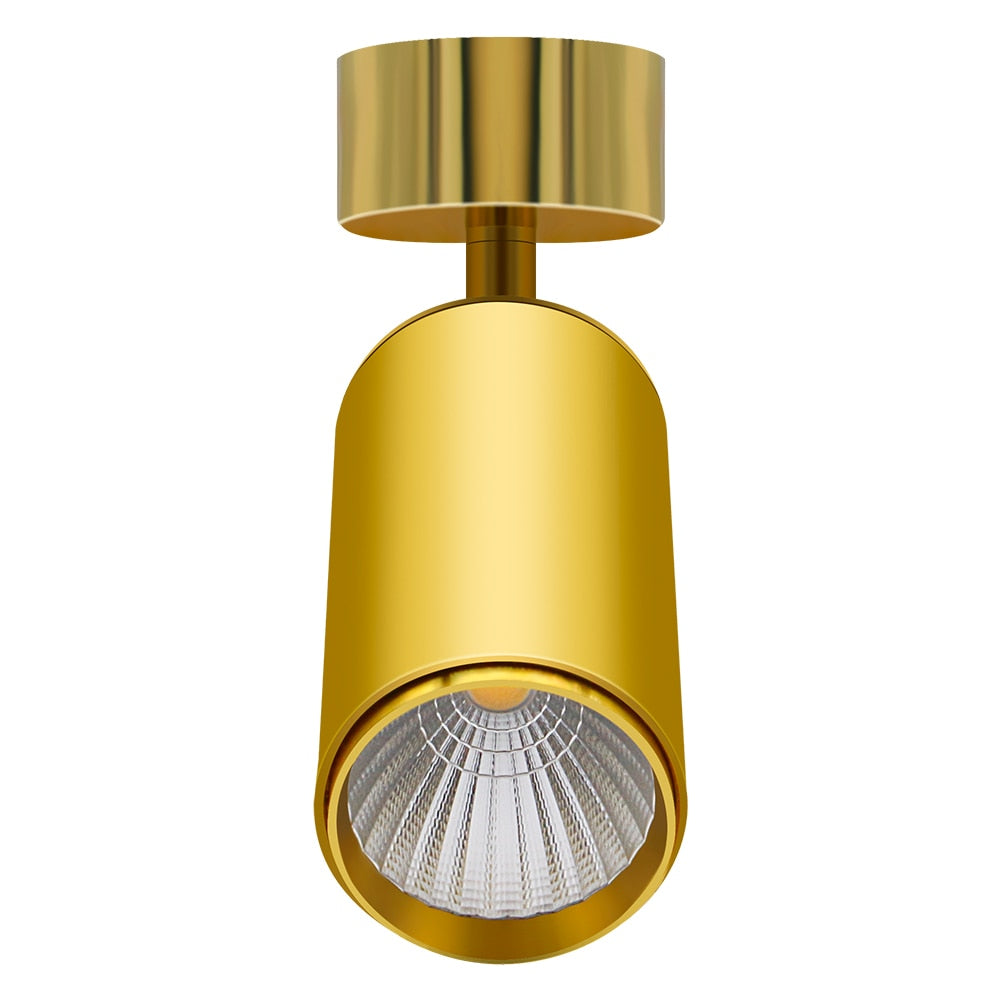 Golden Luxury Led Downlight Surface Mounted Led Spot Light COB Ceiling Light 360 Degree Rotate 7W 12W 15W Living Room Exhibition
