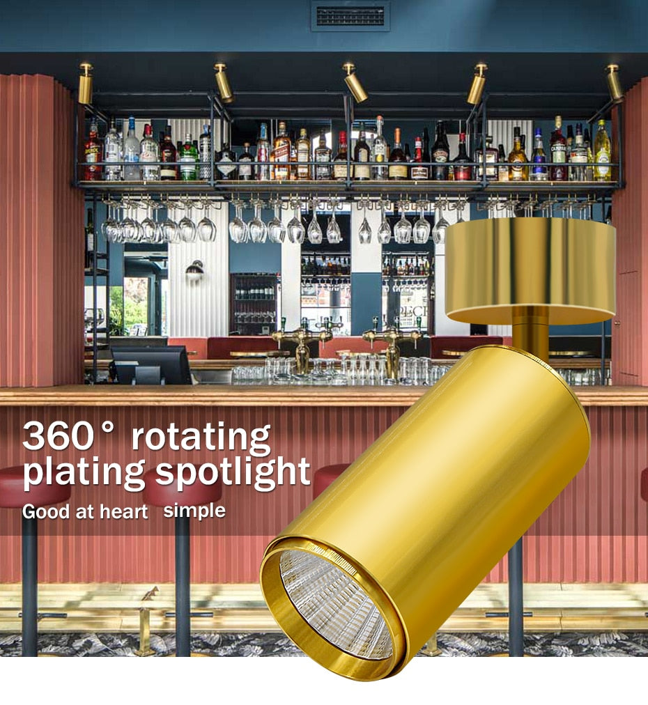 Golden Luxury Led Downlight Surface Mounted Led Spot Light COB Ceiling Light 360 Degree Rotate 7W 12W 15W Living Room Exhibition