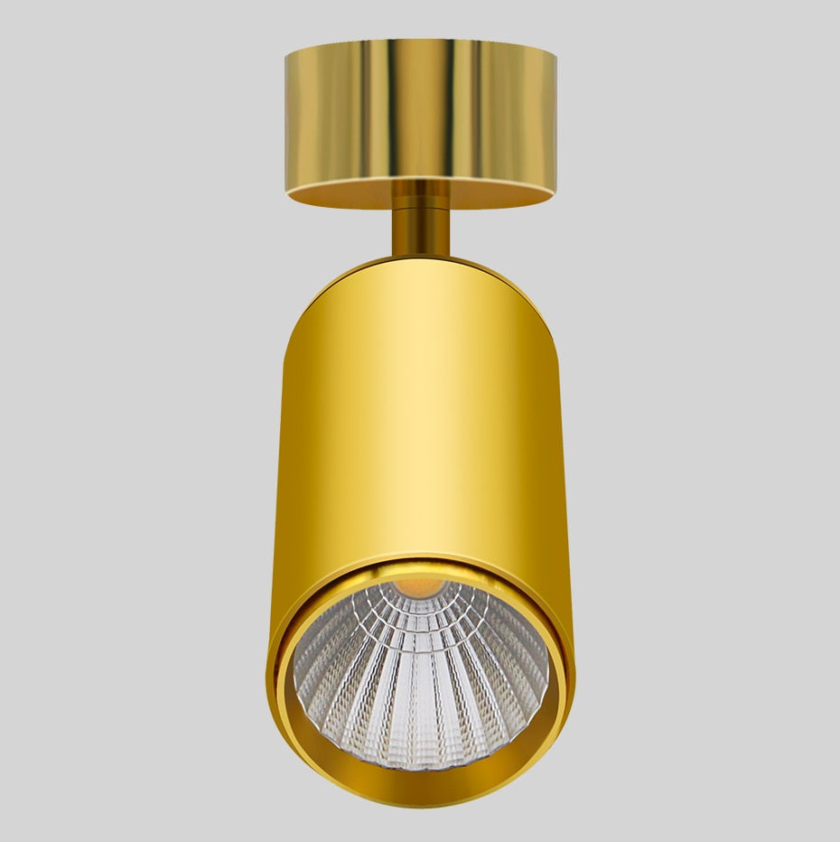 Golden Luxury Led Downlight Surface Mounted Led Spot Light COB Ceiling Light 360 Degree Rotate 7W 12W 15W Living Room Exhibition