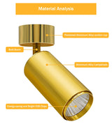 Golden Luxury Led Downlight Surface Mounted Led Spot Light COB Ceiling Light 360 Degree Rotate 7W 12W 15W Living Room Exhibition