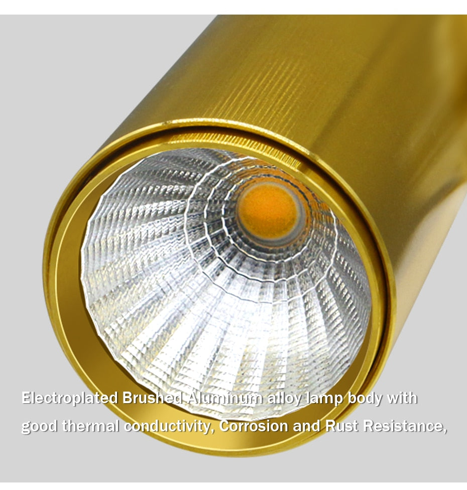 Golden Luxury Led Downlight Surface Mounted Led Spot Light COB Ceiling Light 360 Degree Rotate 7W 12W 15W Living Room Exhibition