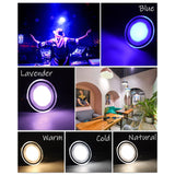 Downlight 3W 5W 10pcs led Downlight AC220V six color recessed downlight ceiling Kitchen living room Indoor ceiling spot light