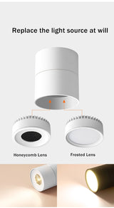 Bulb Replaceable Surface Mounted Led Downlight Ceiling Led Light Angle Adjustable Lighting 7W AC110V 220V For Living Room Foyer