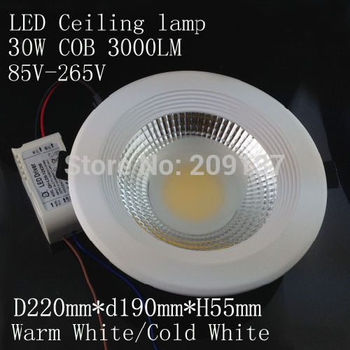 High quality led lamp led downlight COB 10W 20W 30W LED Spot light led ceiling lamp LED mini downlight