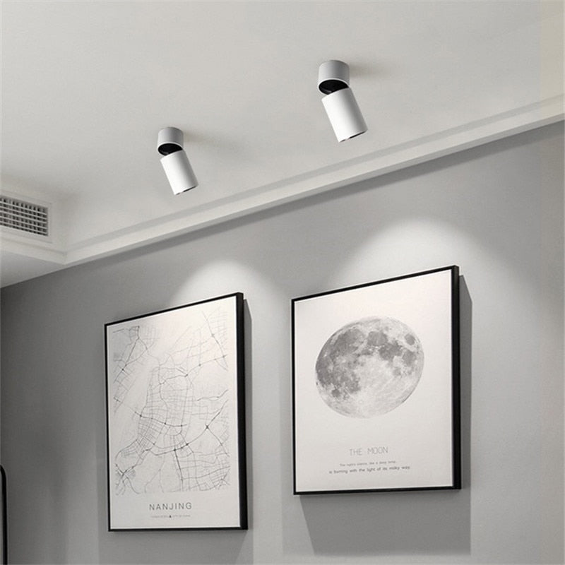 Dimmable Folding Rotating LED Downlights Epistar Chip 7W 10W 12W 15W 18W COB Ceiling Spot Lights AC85-265V Background Lamps