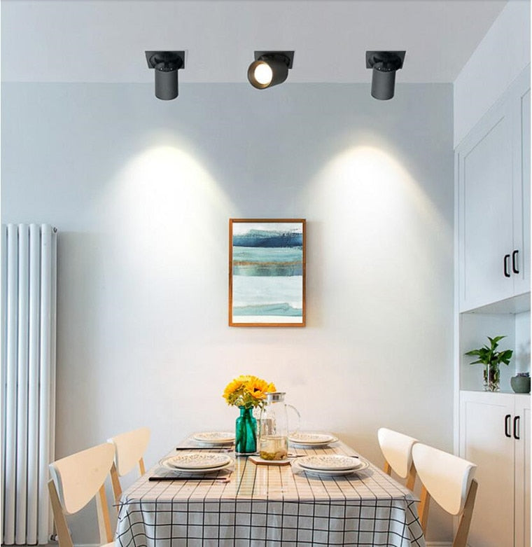 Dimmable Recessed Retractable Rotating COB LED Downlights 9W 12W 15W 24W 30W AC110-240V LED Ceiling Spot Lights Indoor Lighting