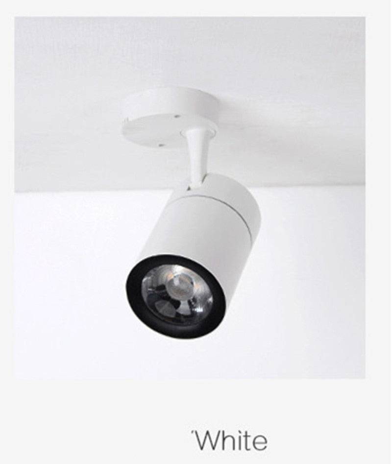 Surface Mounted Rotation LED Downlights 7W 12W 20W 30W Super Bright COB Ceiling Lamp Spot Light AC85-230V Indoor lighting