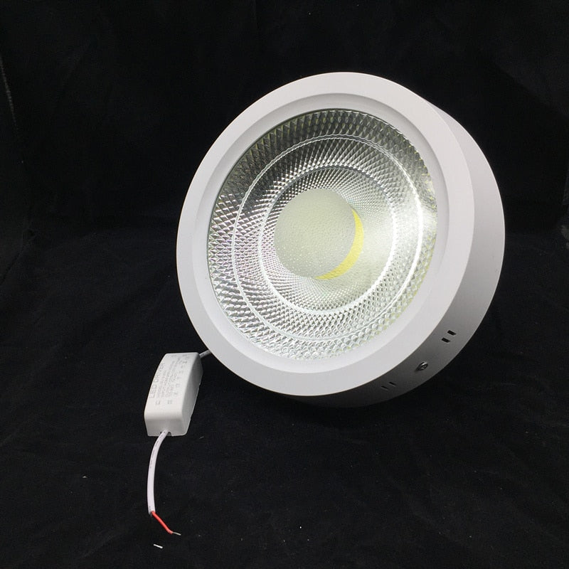 Super Bright Surface Mounted 10W 15W 25W LED Downlight AC85-265V LED Ceiling Panel light 3000K/4000K/6000K LED Indoor light