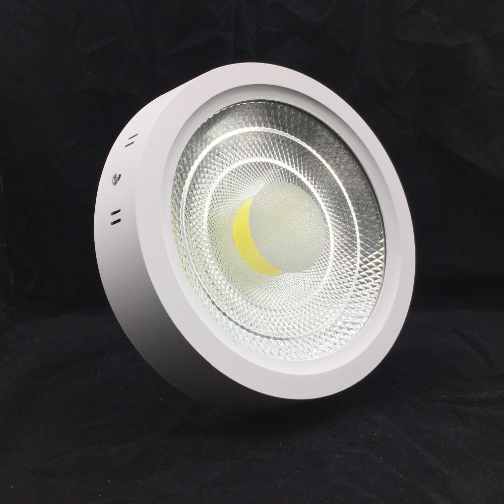 Super Bright Surface Mounted 10W 15W 25W LED Downlight AC85-265V LED Ceiling Panel light 3000K/4000K/6000K LED Indoor light