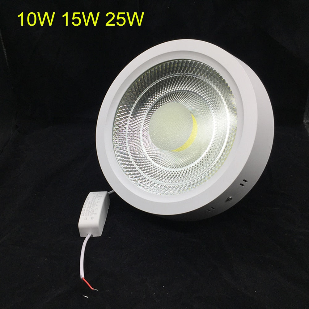 Super Bright Surface Mounted 10W 15W 25W LED Downlight AC85-265V LED Ceiling Panel light 3000K/4000K/6000K LED Indoor light