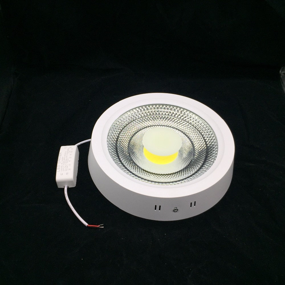Super Bright Surface Mounted 10W 15W 25W LED Downlight AC85-265V LED Ceiling Panel light 3000K/4000K/6000K LED Indoor light
