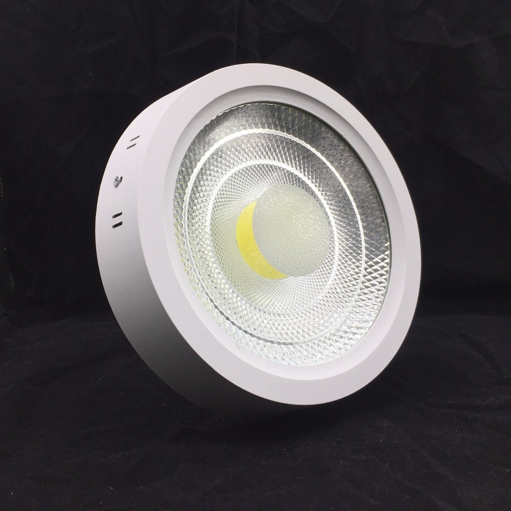 Super Bright Surface Mounted 10W 15W 25W LED Downlight AC85-265V LED Ceiling Panel light 3000K/4000K/6000K LED Indoor light