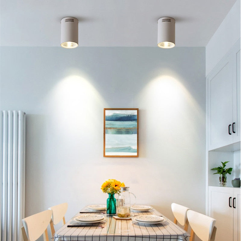 Dimmable Surface mounted COB LED Downlight 7W 9W 12W 15W 20W Ceiling Spot Light AC85-265V LED Ceiling Lamp Indoor Lighting