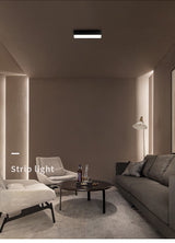 Saiyo LED Ceiling Lamp Surface mounted Downlight Aluminum Long Acrylic Cover Strip Lamp Rectangular Panel Light For Home Office