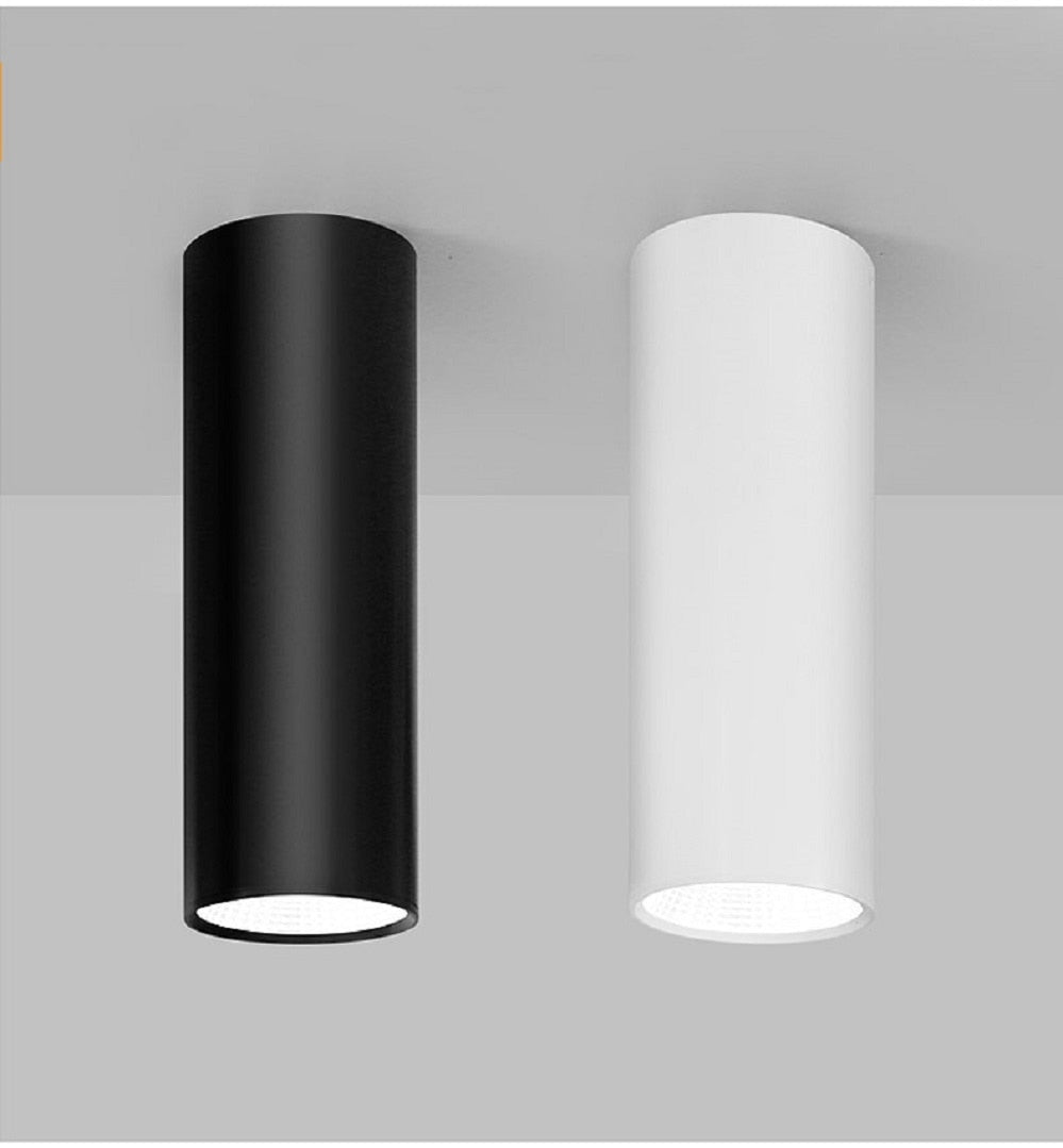 Large Spot light Downlight Home Decoration Downlights 10W 15W Spotlight Kitchen Balcony Corridor Bathroom Lighting fixtures