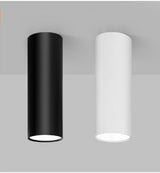 Large Spot light Downlight Home Decoration Downlights 10W 15W Spotlight Kitchen Balcony Corridor Bathroom Lighting fixtures