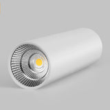 Large Spot light Downlight Home Decoration Downlights 10W 15W Spotlight Kitchen Balcony Corridor Bathroom Lighting fixtures