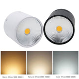 Surface Mounted LED Downlights 20W 30W LED Ceiling Down Lamp Kitchen Bathroom Dimmable LED COB Downlights 3000K/4000K/6000K