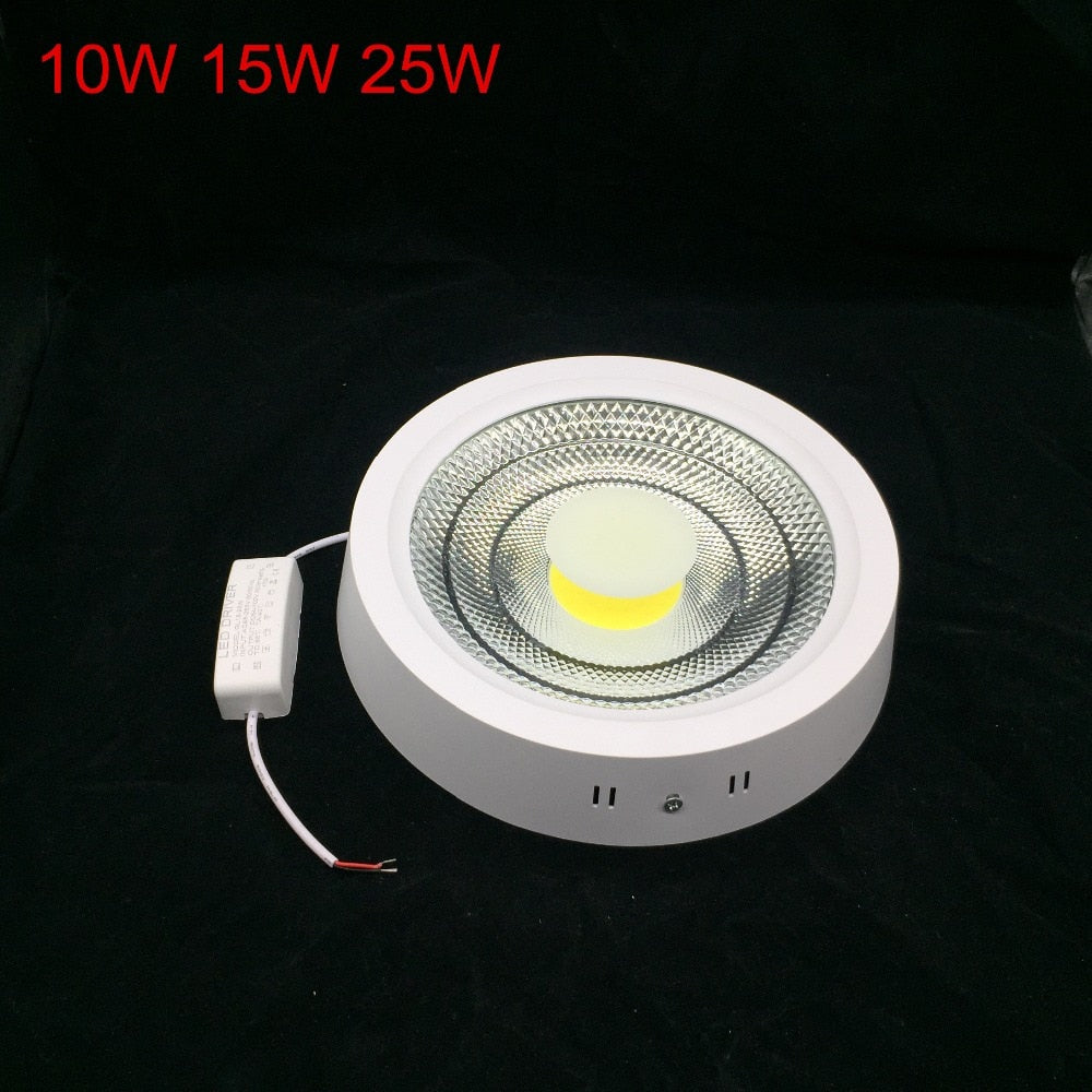Super Bright Surface Mounted 10W 15W 25W LED Downlight AC85-265V LED Ceiling Panel light 3000K/4000K/6000K LED Indoor light
