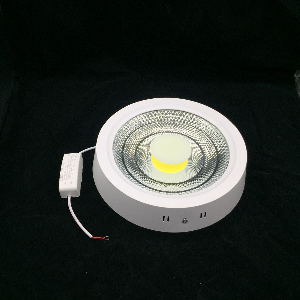 Super Bright Surface Mounted 10W 15W 25W LED Downlight AC85-265V LED Ceiling Panel light 3000K/4000K/6000K LED Indoor light